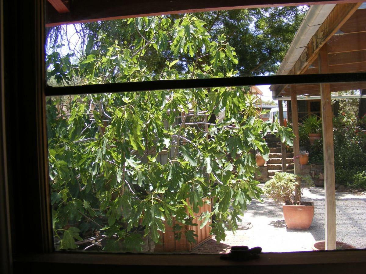 Penwortham Trevalia Accommodation מראה חיצוני תמונה